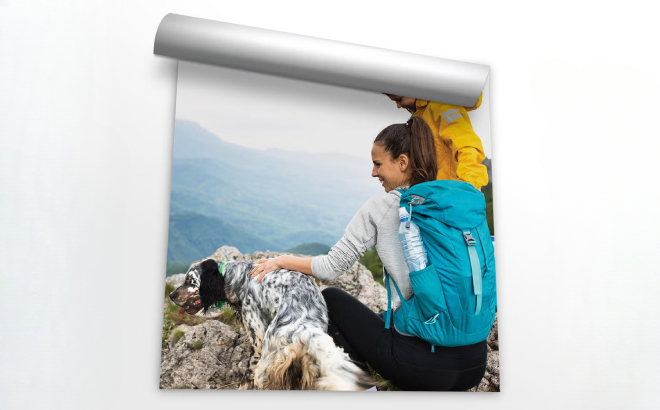 16×20 Repositionable Poster 16×20 Repositionable Poster