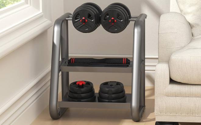 Adjustable Dumbbell Set on the Desk Adjustable Dumbbell Set on the Desk
