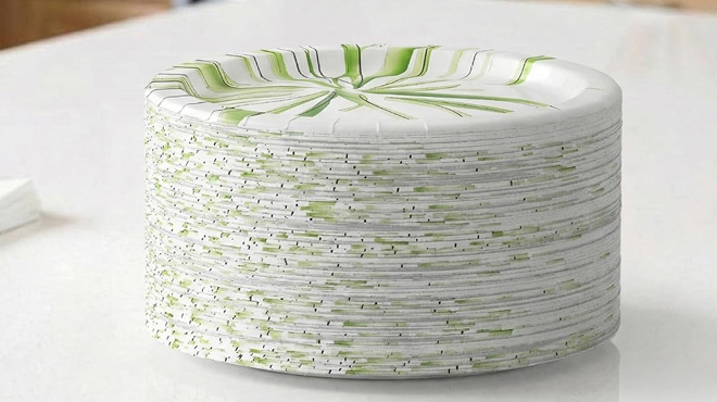 Amazon Basics Everyday Disposable Paper Plates 100 Count