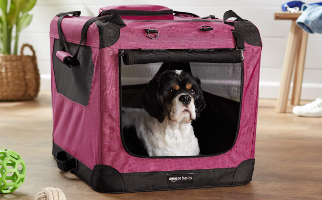 Amazon Basics Folding Portable Soft Pet Dog Crate Carrier Kennel Amazon Basics Folding Portable Soft Pet Dog Crate Carrier Kennel