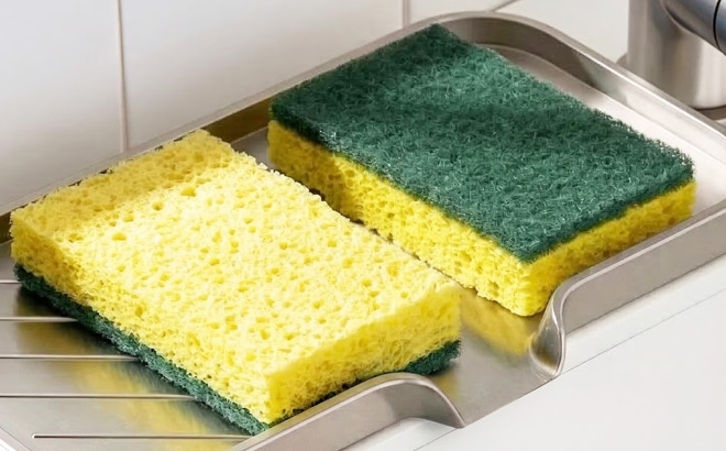 Amazon Basics Heavy Duty Dual Sided Scrub Sponges Amazon Basics Heavy Duty Dual Sided Scrub Sponges