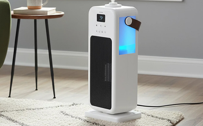 Cascade 22 Inch Portable 2 in 1 Heater and 1 Liter Humidifier