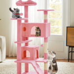 Cats Playing on Dumos 54 inch Cat Tree Tower