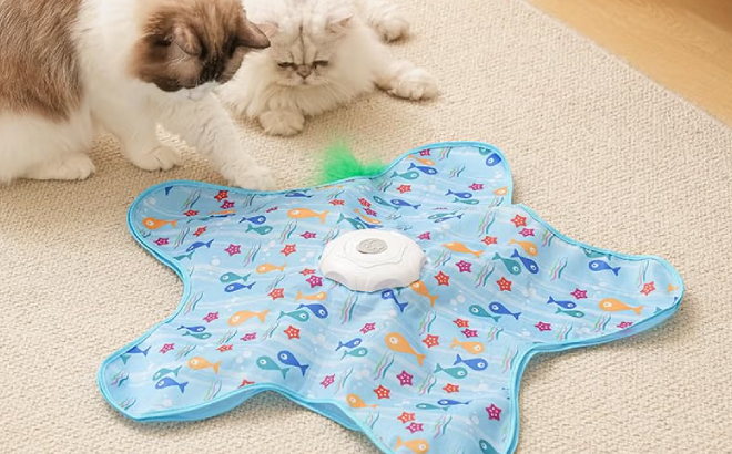 Cats Playing with Rechargeable Automatic Toy Cats Playing with Rechargeable Automatic Toy