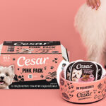 Cesar Dog Food Pink Pack Giveaway