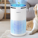 Dbfit Air Purifier with Dog