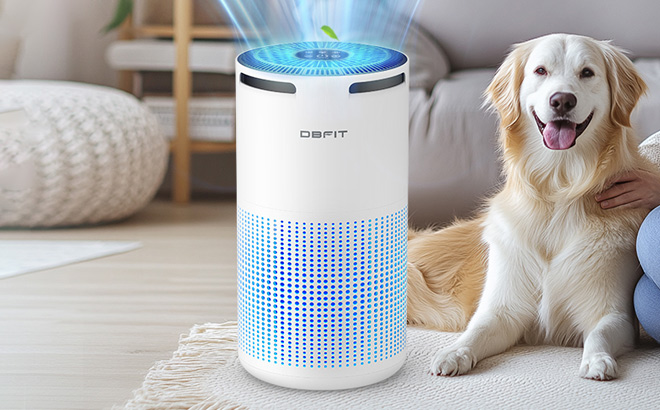 Dbfit Air Purifier with Dog Dbfit Air Purifier with Dog
