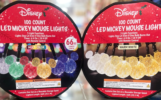 Disney Mickey LED Lights