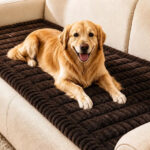 Dog on the Couch Cover
