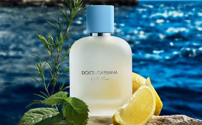 Dolce Gabbana Light Blue Pour Homme EDT Spray