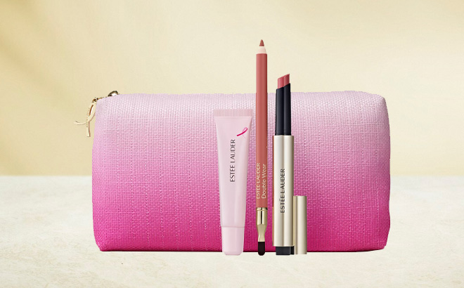 Estee Lauder 4 Piece Pink Horizon Lip Collection Pink Ribbon Makeup Gift Set