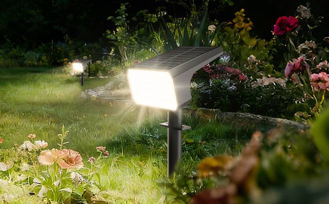 FABRITO Solar Spot Light