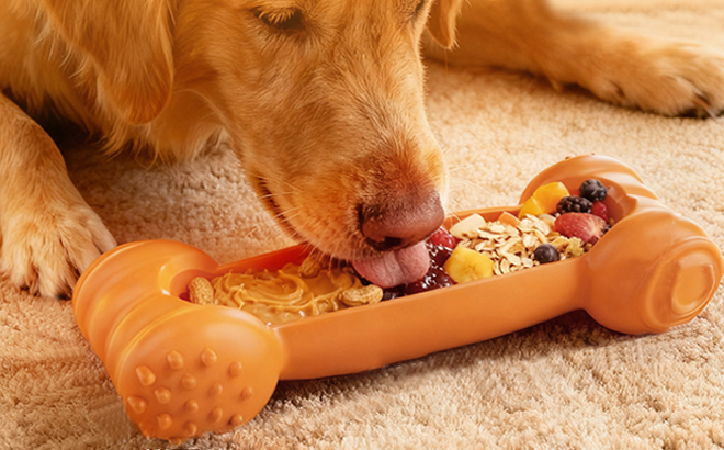 FOXMM Freeze Toy for Dogs FOXMM Freeze Toy for Dogs