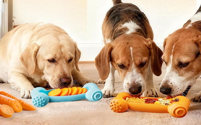 FOXMM Freeze Toys for Dogs 2 Pack FOXMM Freeze Toys for Dogs 2 Pack