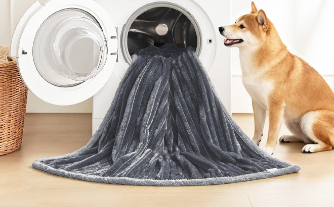 FWERDG Waterproof Dog Blanket FWERDG Waterproof Dog Blanket