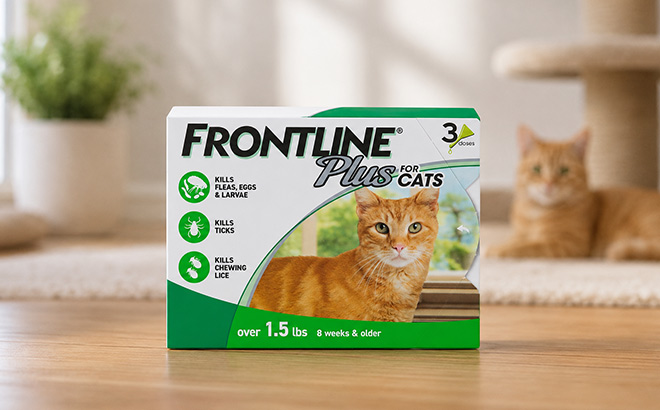 Frontline Plus Flea Tick Treatment on Floor Frontline Plus Flea Tick Treatment on Floor