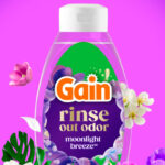Gain Laundry Rinse