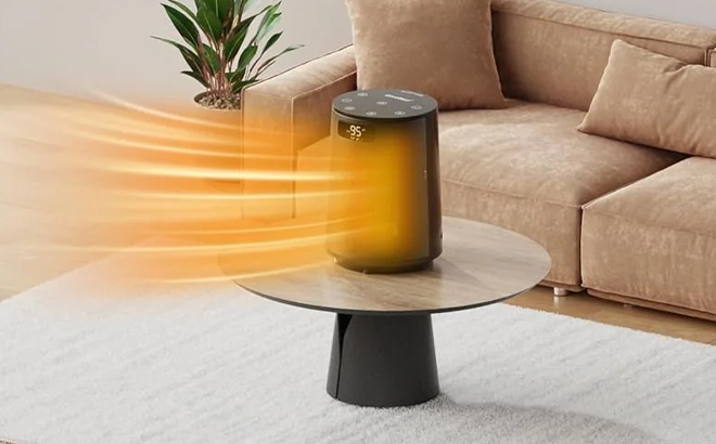 GiveBest Electric Portable Heater