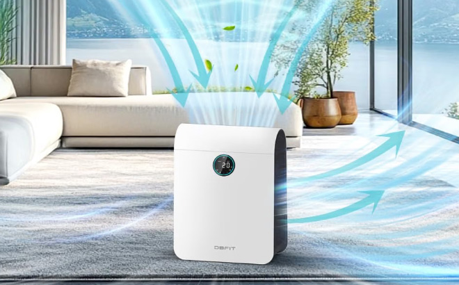 HEPA Air Purifier 1