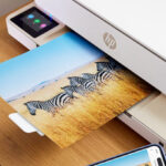 HP Envy AIO 6000 Series Printer w 50 Instant Ink