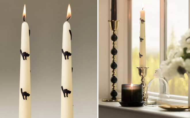 Halloween Icon Tapers
