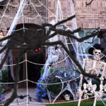 Halloween Spider Web and Giant Spider Decoration