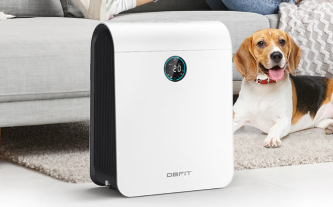 Home Large Room HEPA Air Purifier