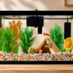 Imagitarium Open Glass Aquarium Tank