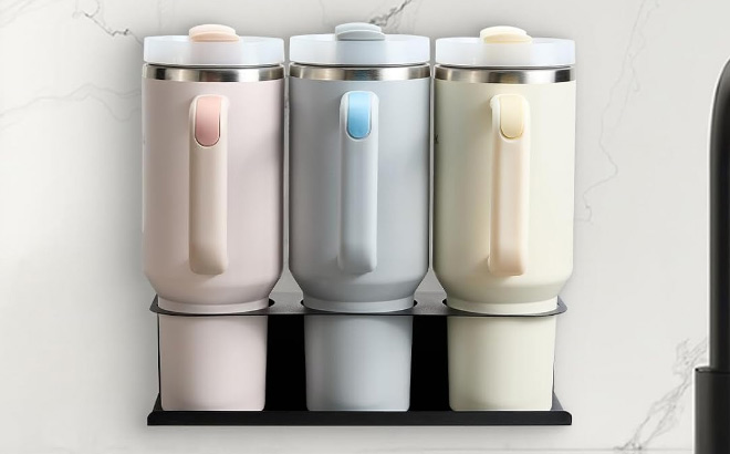 Magnetic Water Bottle Organizer