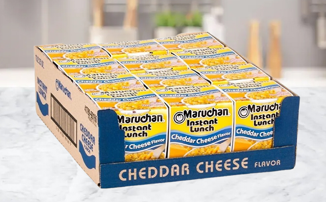 Maruchan Instant Lunch Ramen Noodles in Cheddar Cheese Flavor 12 Pack Maruchan Instant Lunch Ramen Noodles in Cheddar Cheese Flavor 12 Pack