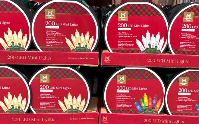 Members Mark 200 LED Mini Lights