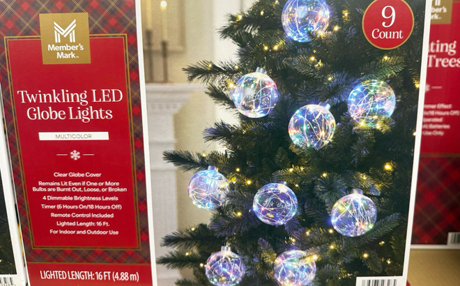 Members Mark Twinkling LED Globe Lights
