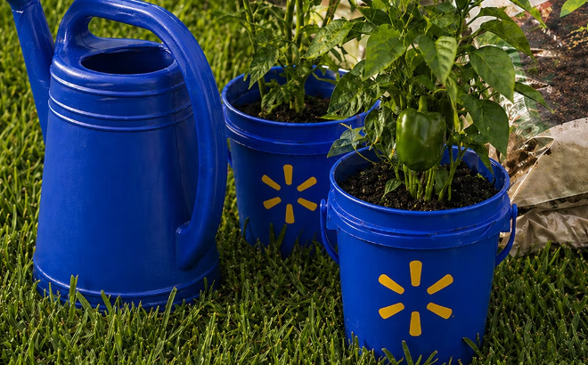 Mini Bucket