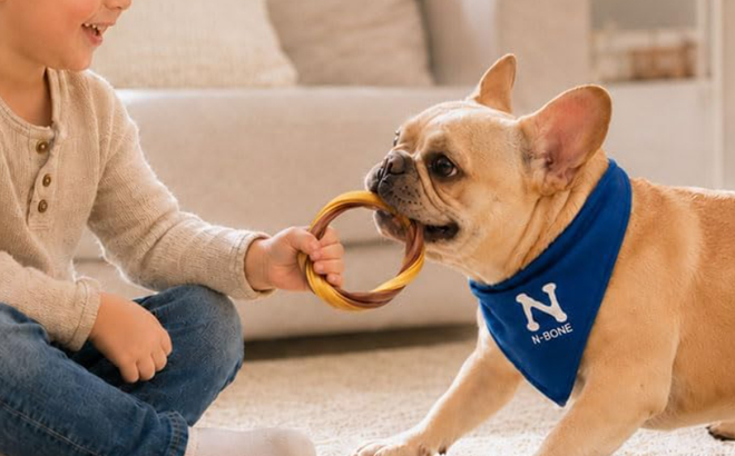 N Bone Dog Chews N Bone Dog Chews