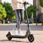 NIU Electric Kick Scooter