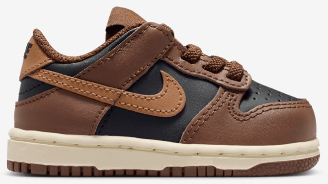 Nike Dunk Low Girls Toddler Shoes