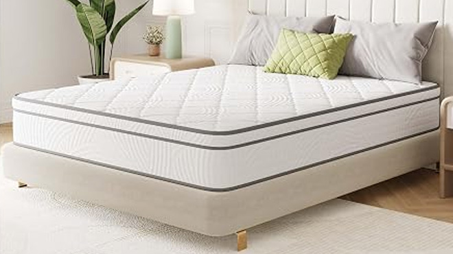 Novilla 14 Inch Mattress