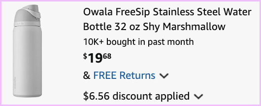Owala FreeSip Stainless Steel 32 oz Water Bottle at Checkout