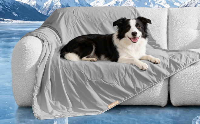 PPOLCA Cooling Waterproof Pet Blanket