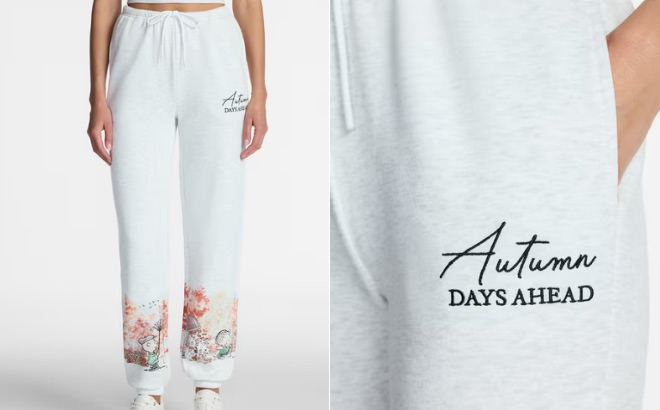 Peanuts Womens Screenprint Drawstring Fleece Joggers
