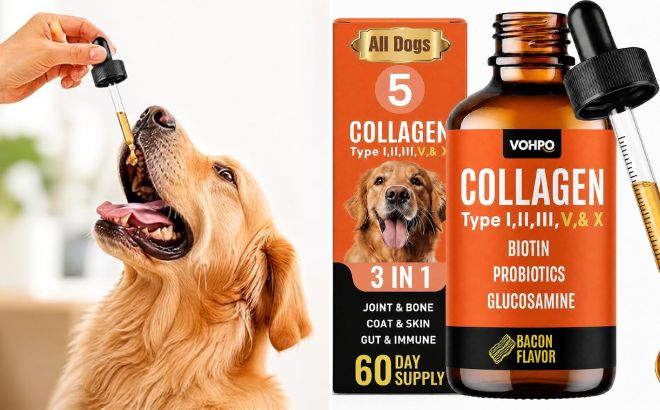Premium 5 Type Grass Fed Liquid Collagen