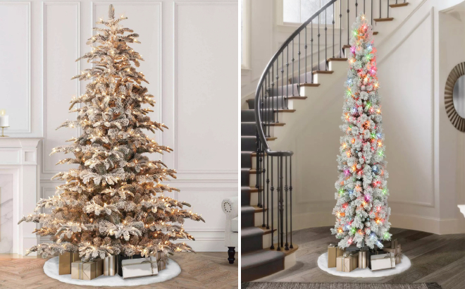 Puleo International 6 5FT Pre Lit Flocked Arctic Fir Artificial Christmas Tree and Flocked Portland Pine Pencil Tree Puleo International 6 5FT Pre Lit Flocked Arctic Fir Artificial Christmas Tree and Flocked Portland Pine Pencil Tree
