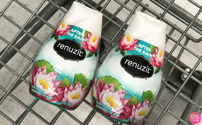Renuzit Adjustables After the Rain Air Freshener