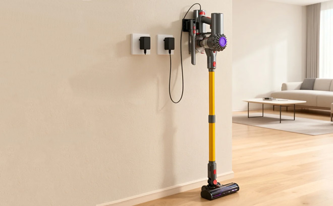Self Standing Cordless and 6 in 1 Stick Vacuum with Detachable Battery Self Standing Cordless and 6 in 1 Stick Vacuum with Detachable Battery