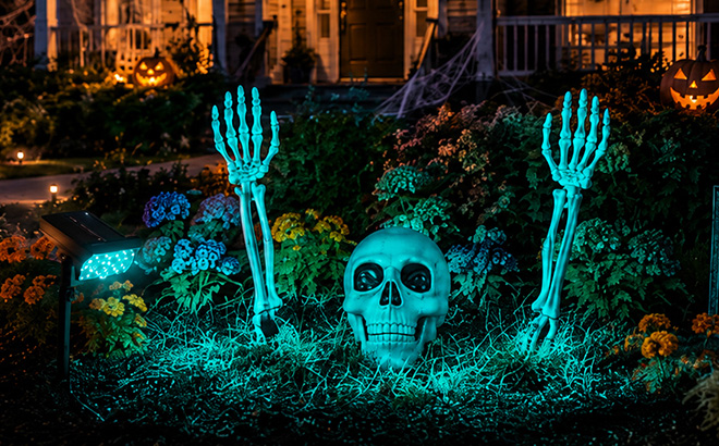Solar Halloween Lights with Decor