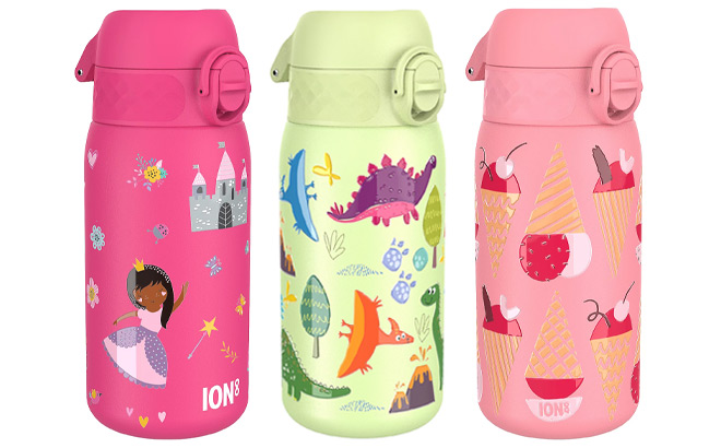 Stainless Steel Water Bottle 13 Ounce