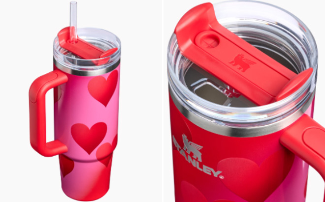 Stanley 30 Ounce Tumbler