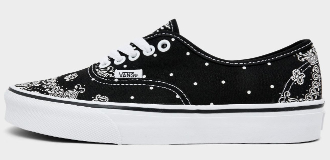 VANS Big Kids Authentic Casual Shoes