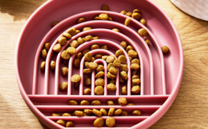 Vibrant Life Silicone Slow Feeder Bowl for Pets