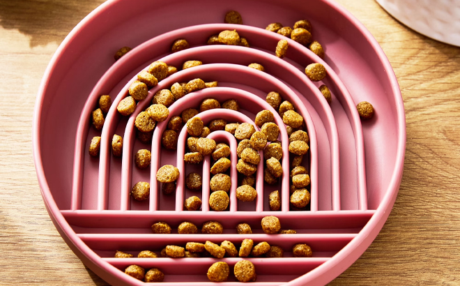 Vibrant Life Silicone Slow Feeder Bowl for Pets